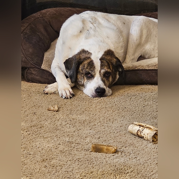 Share show 💜💜💜 - Picture 3 of 9